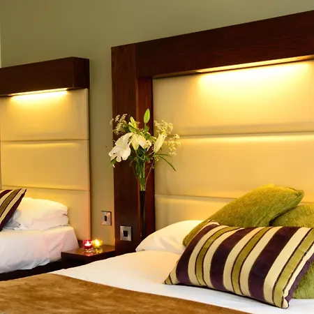 Treacy'S Hotel & Slaney Suites Wexford Otel Enniscorthy