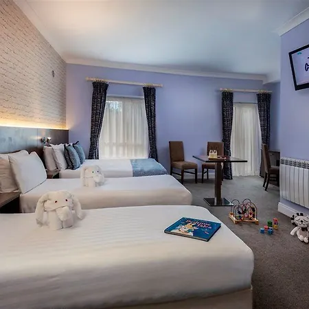 Отель Treacy's Wexford